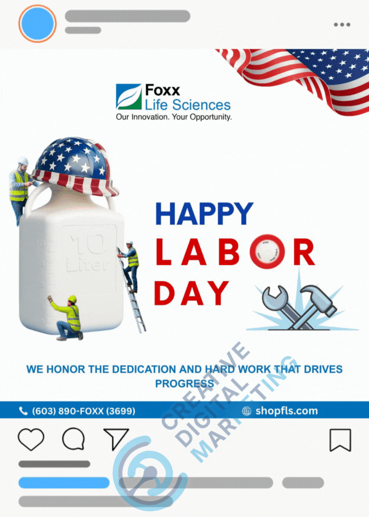 Creative Digital Marketing (CDM) Work Samples