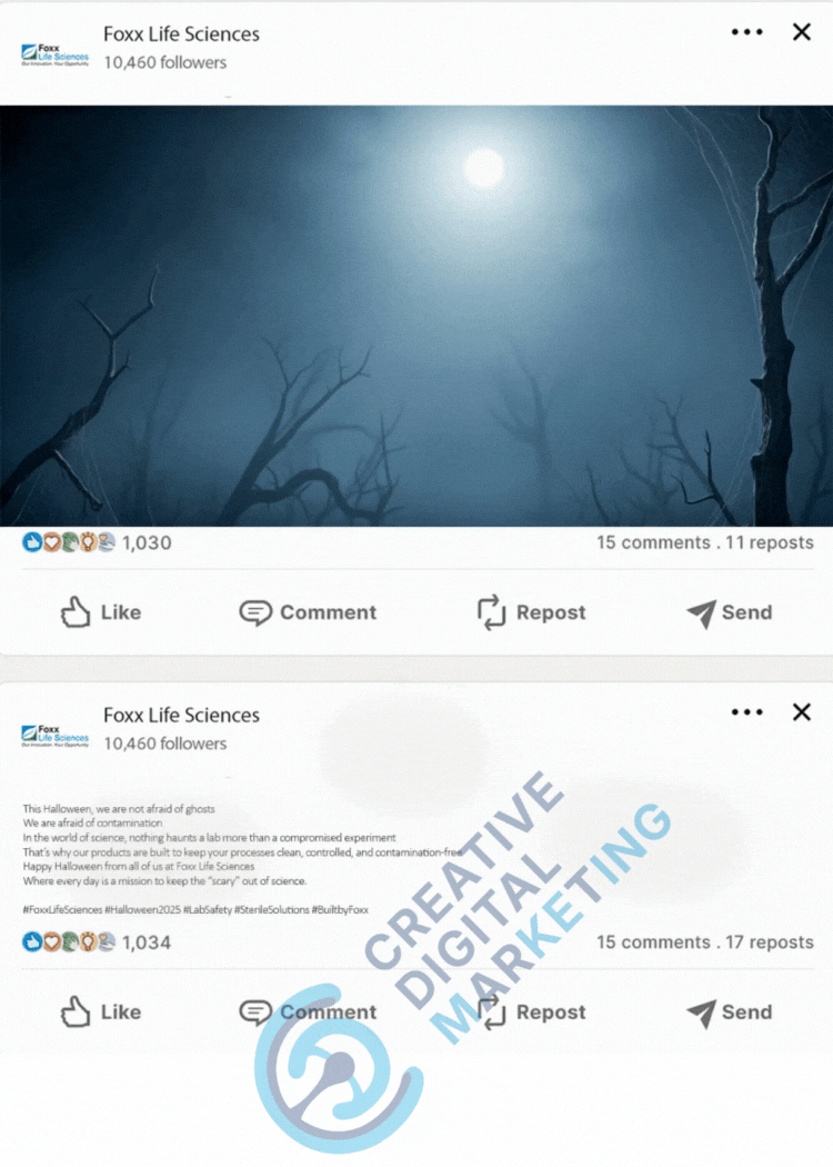Creative Digital Marketing (CDM) Work Samples